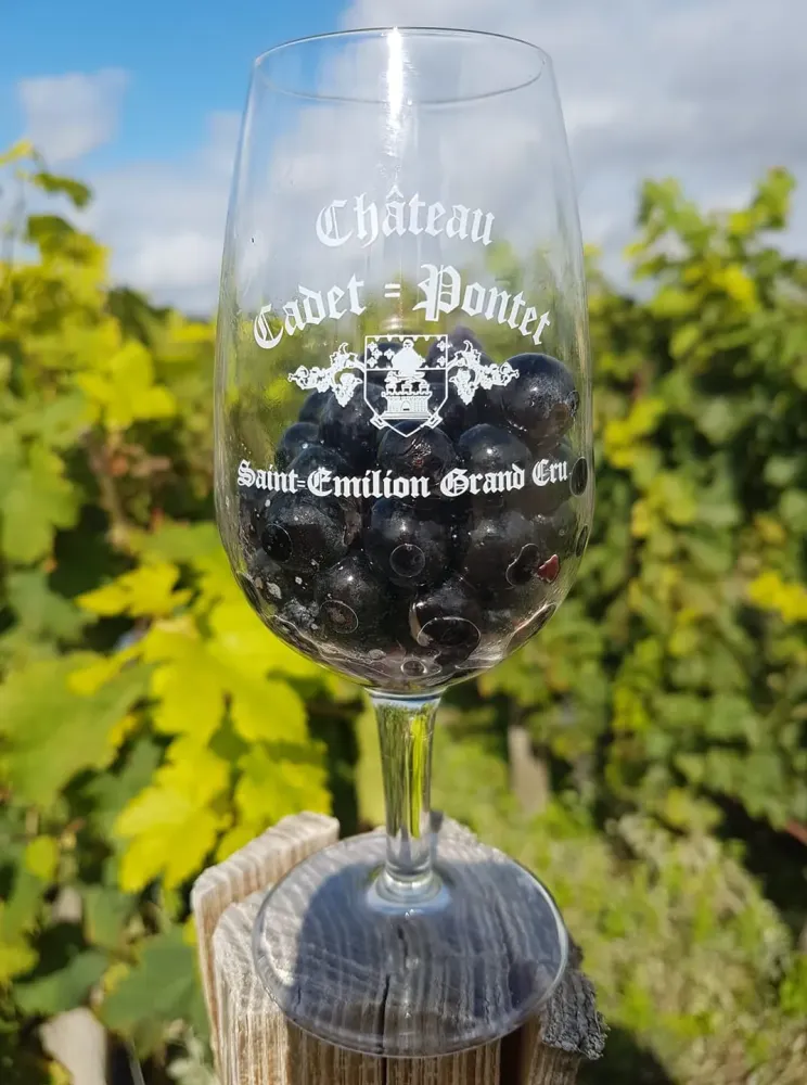 raisins dans un verre a vin