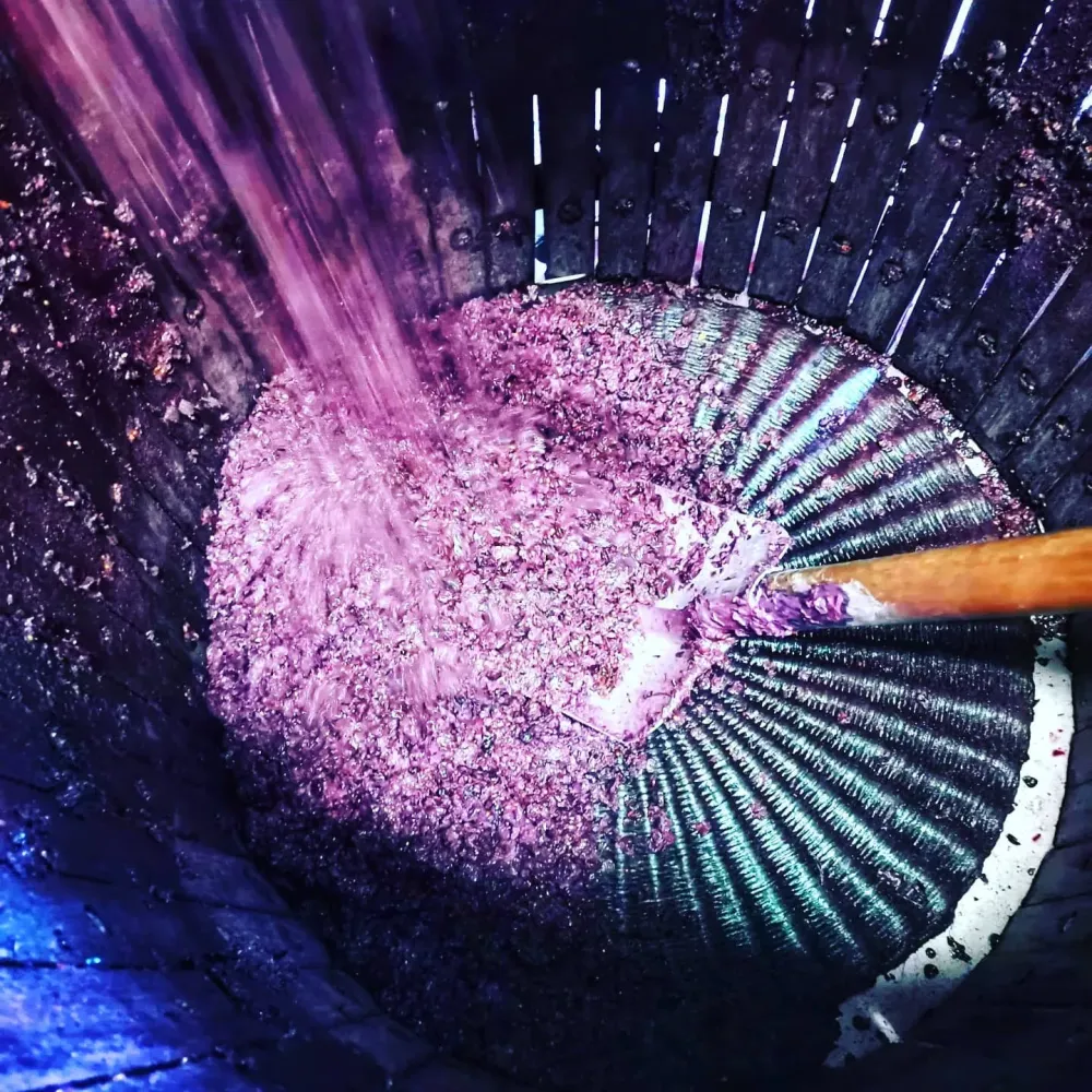 fabrication du vin (5)